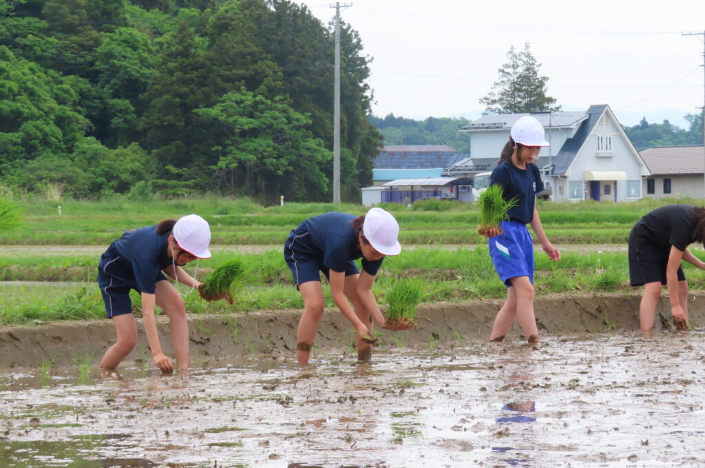 くにみ少年少女学級　「田植え体験」
