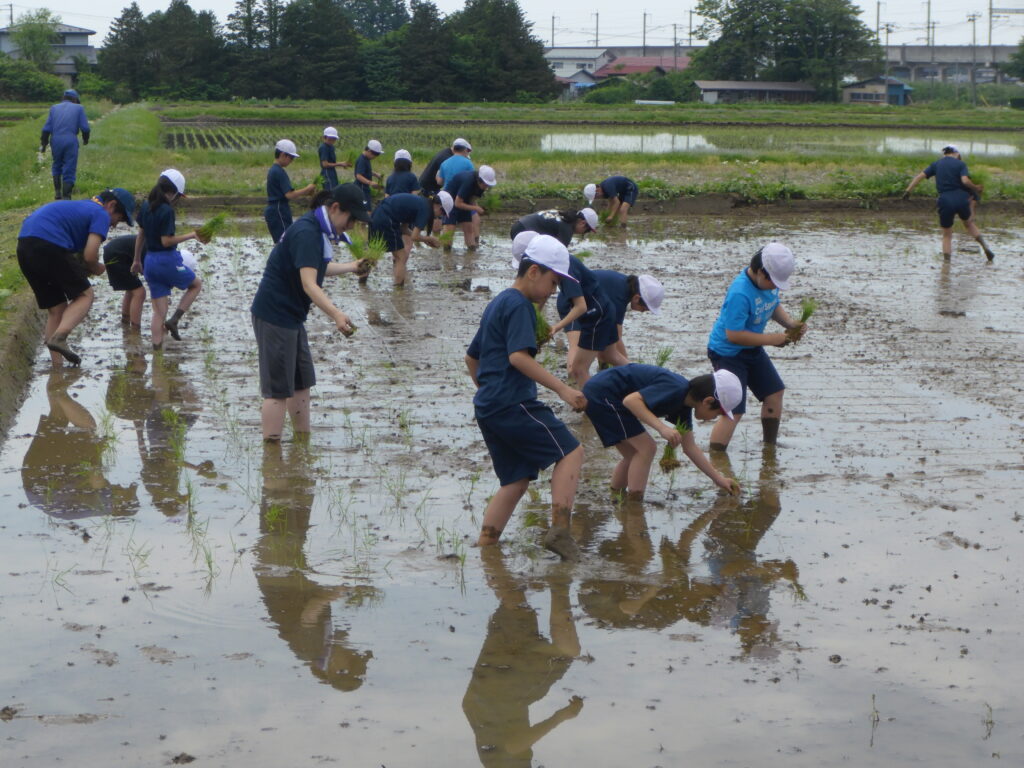 くにみ少年少女学級　「田植え体験」