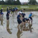 くにみ少年少女学級　「田植え体験」